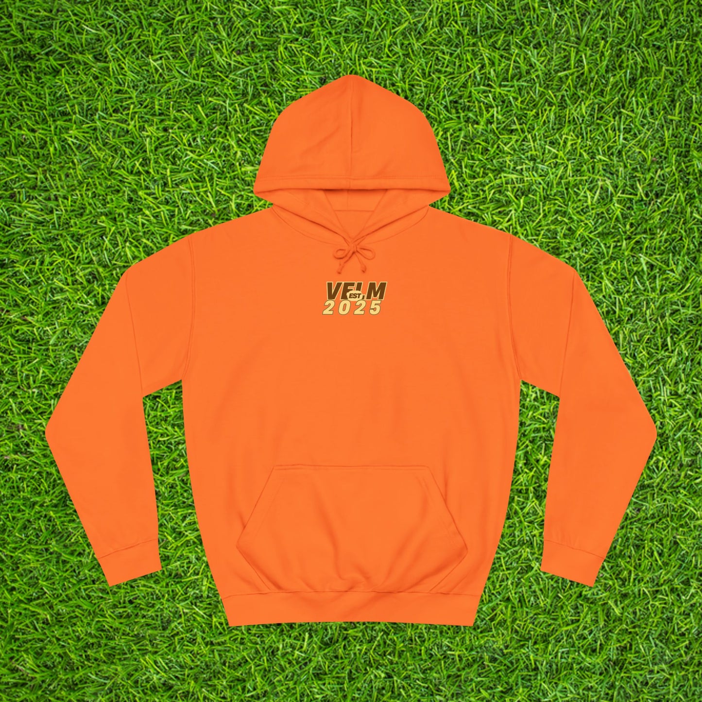 Nature-Inspired Unisex College Hoodie - Velm Spring Edition